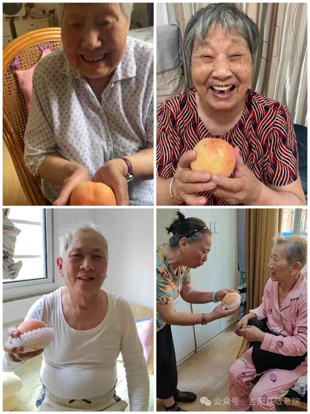 慈善献爱心 真情蜜桃甜人心